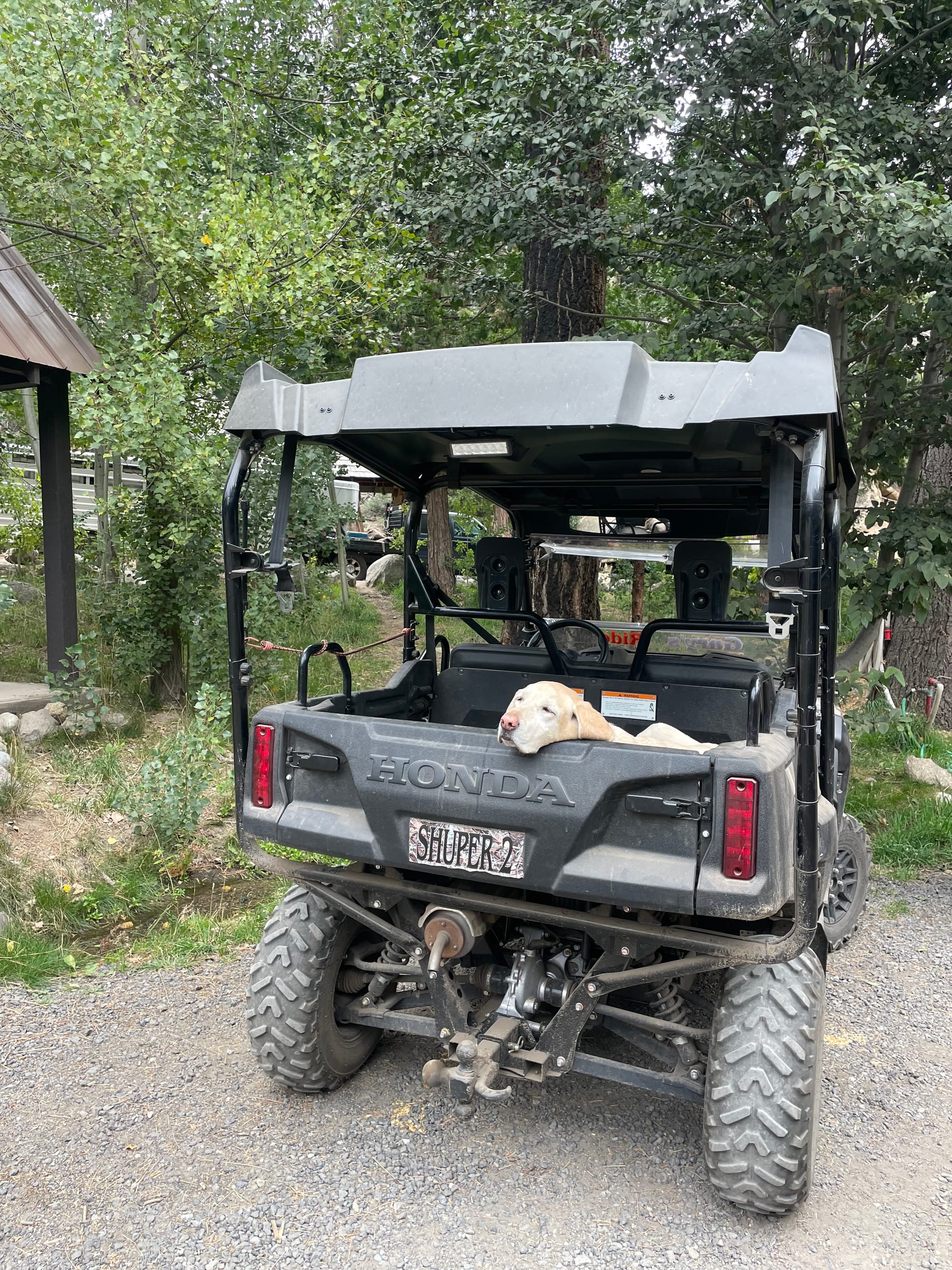 Some stories from the Sierras