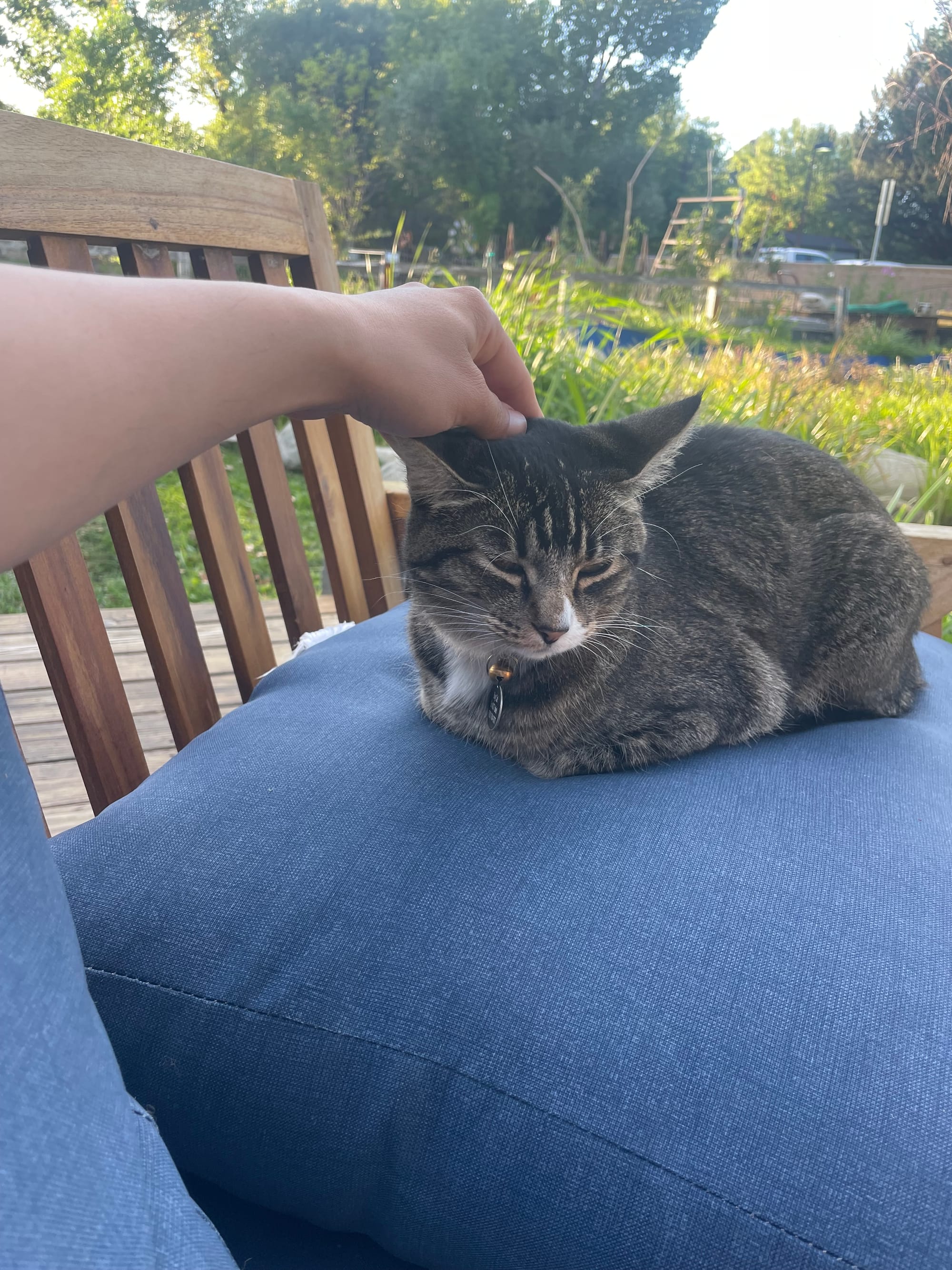 Some stories from the Sierras