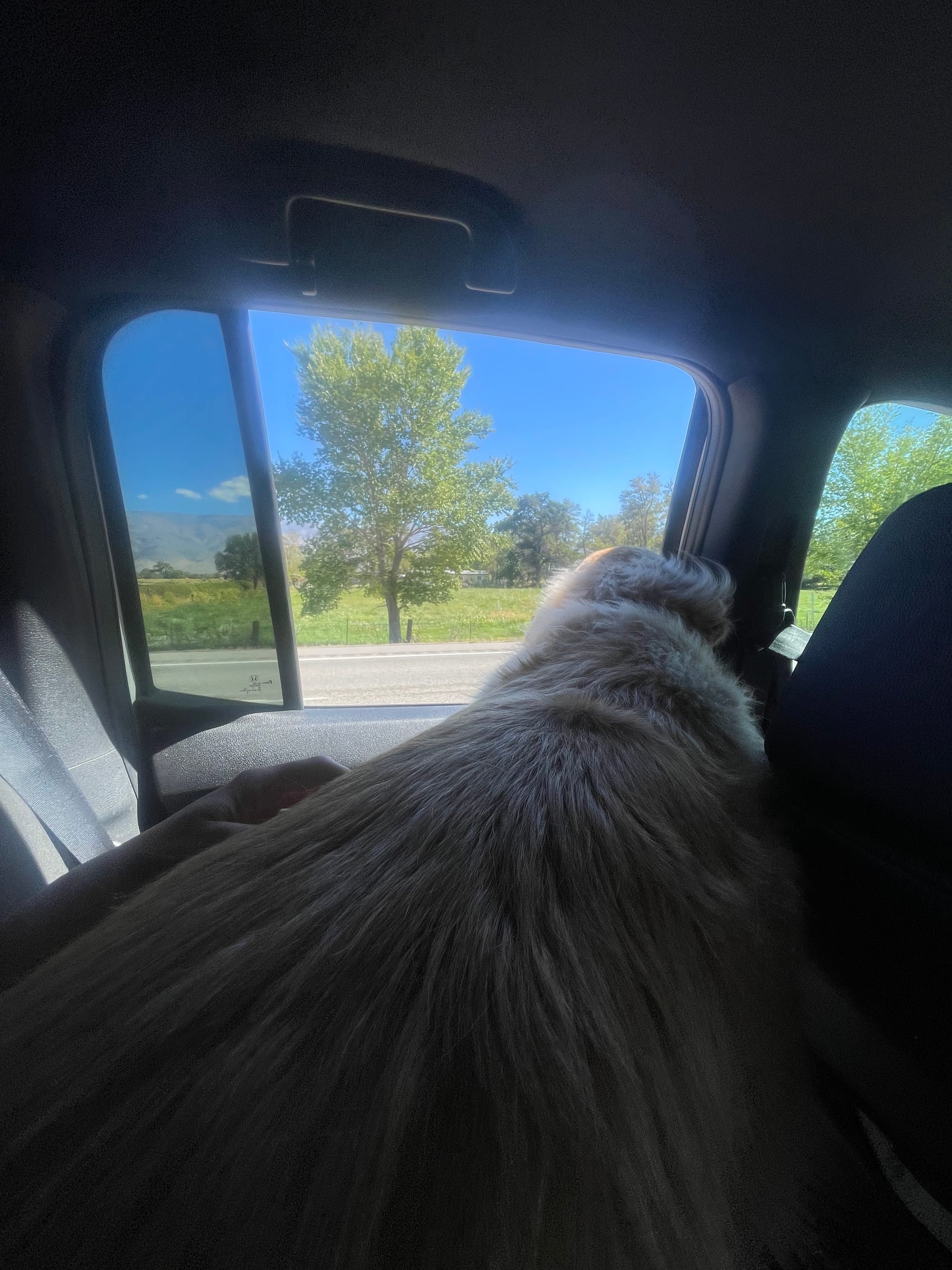 Some stories from the Sierras