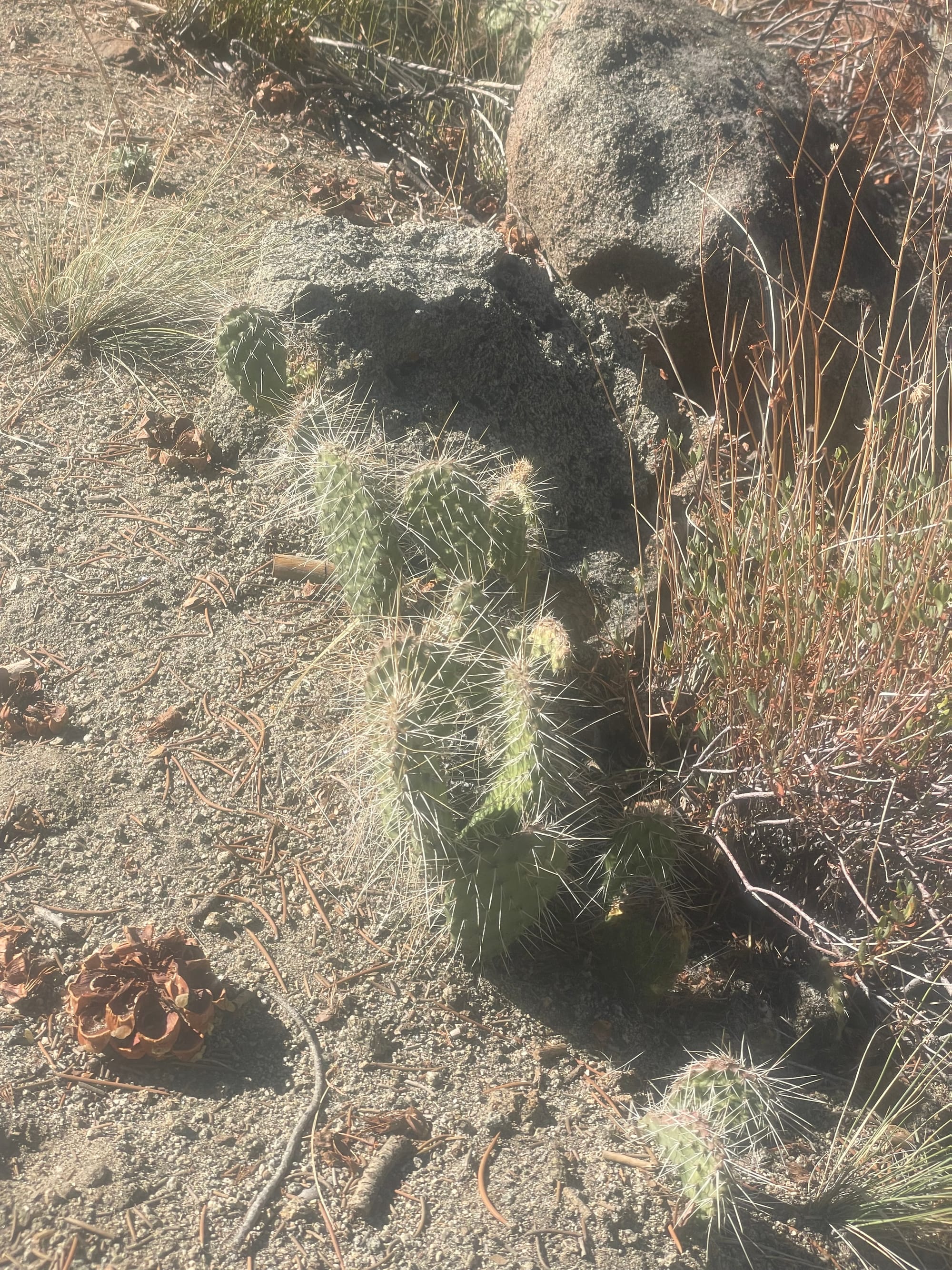 Some stories from the Sierras