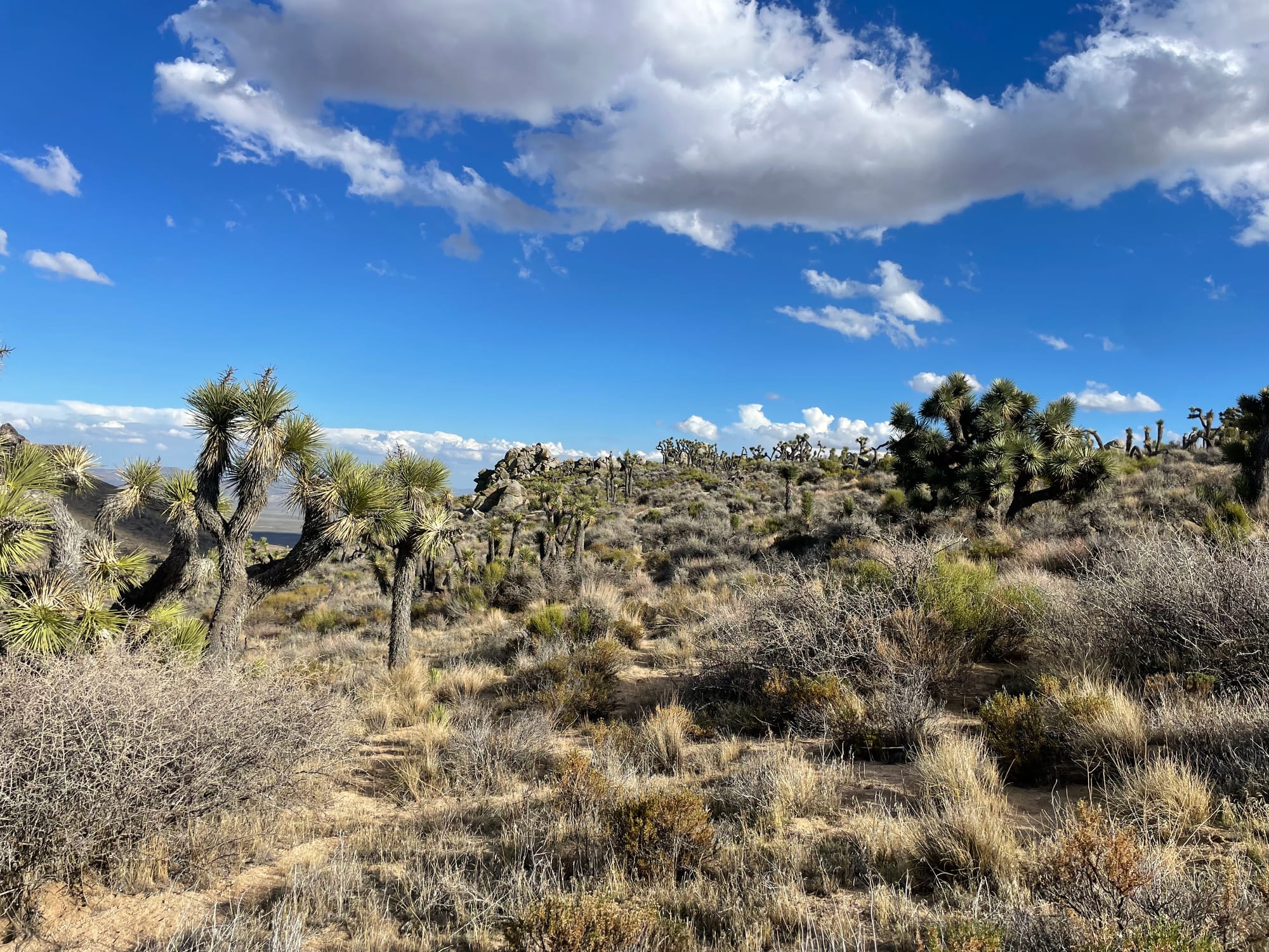 Some stories from the Sierras