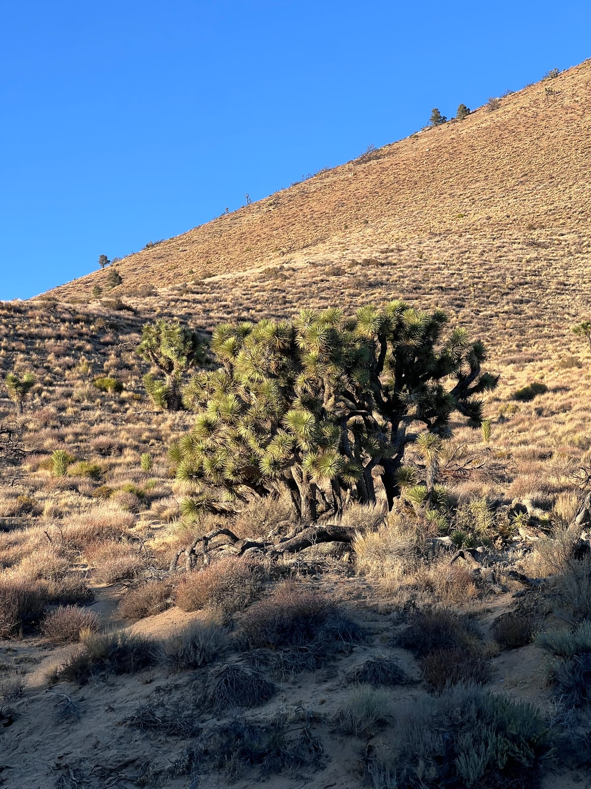 A Stark Change of Scenery